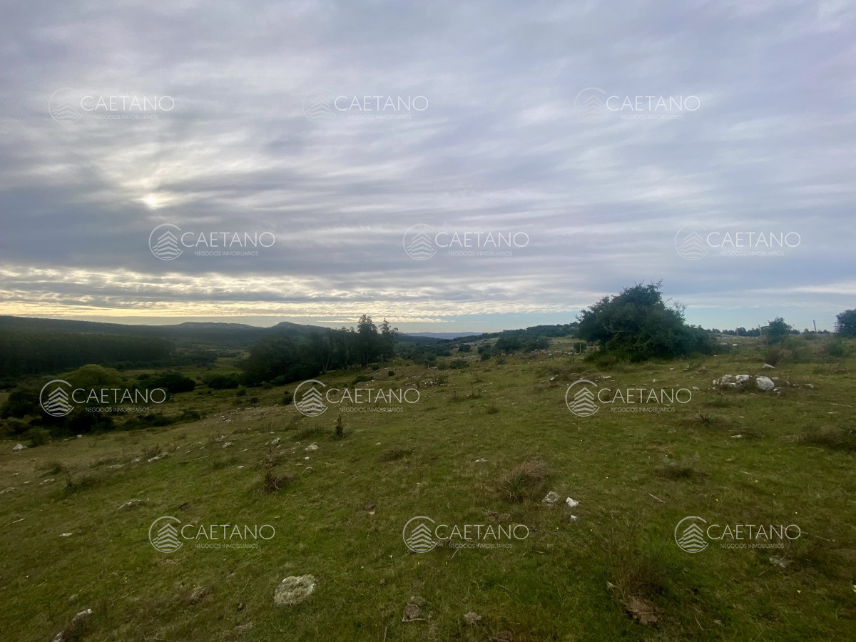 Campo en Maldonado, propiedad 273164 -Imagen 8