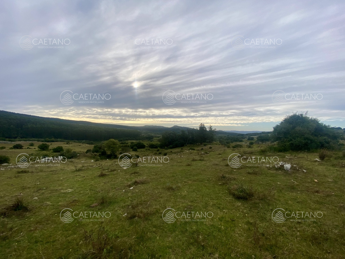 Campo en Maldonado, propiedad 273164 -Imagen 9
