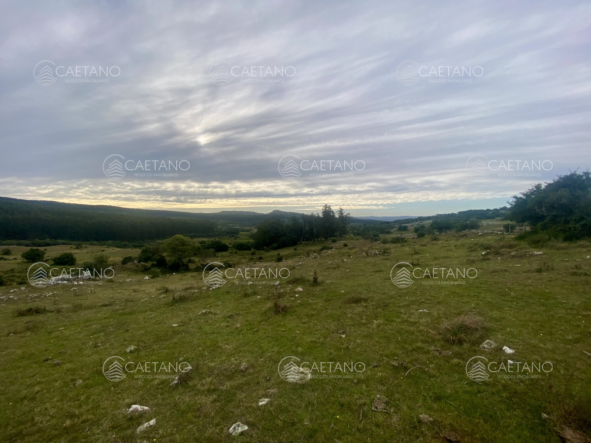 Campo en Maldonado, propiedad 273164 -Imagen 10