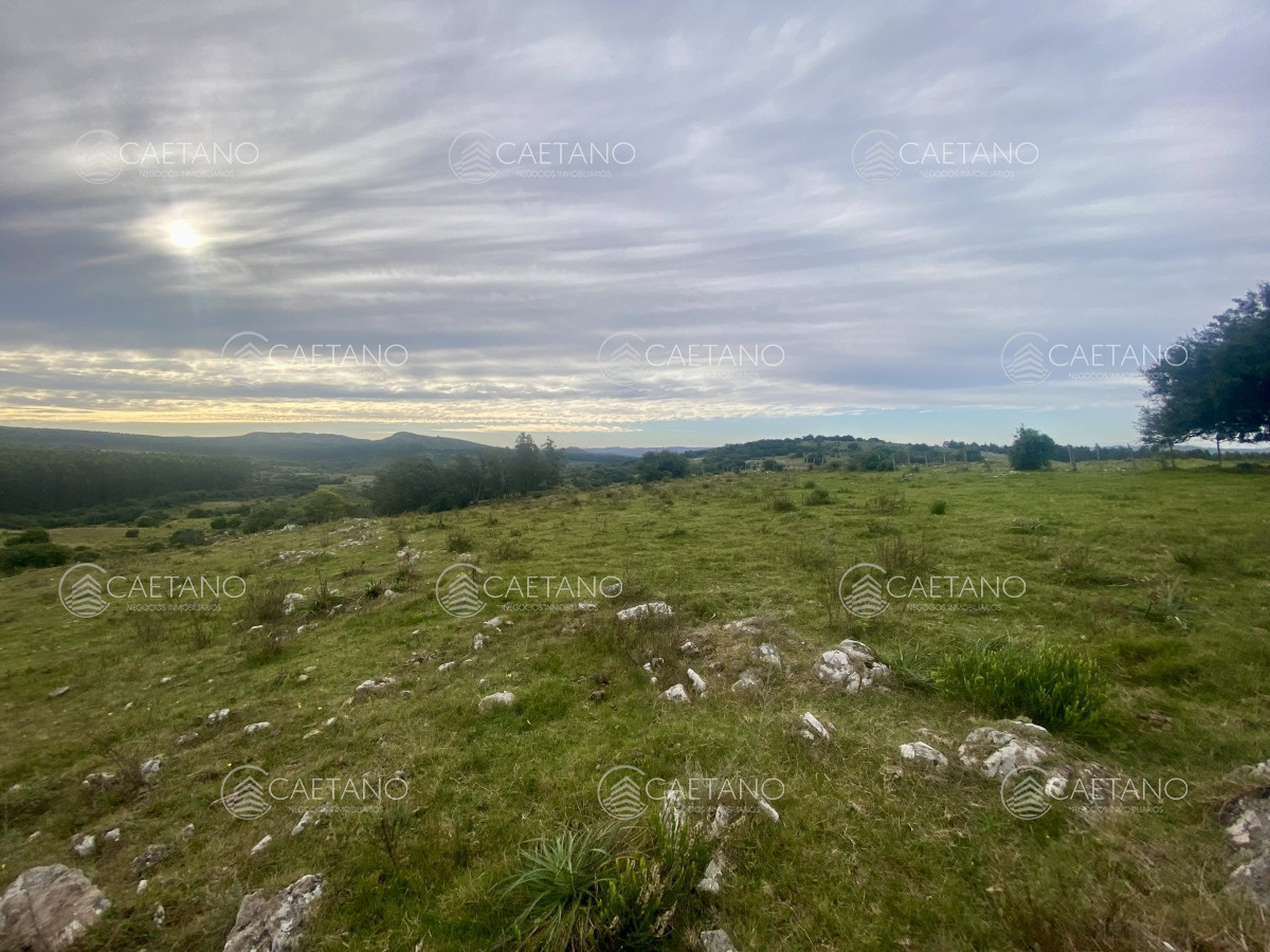 Campo en Maldonado, propiedad 273164 -Imagen 11