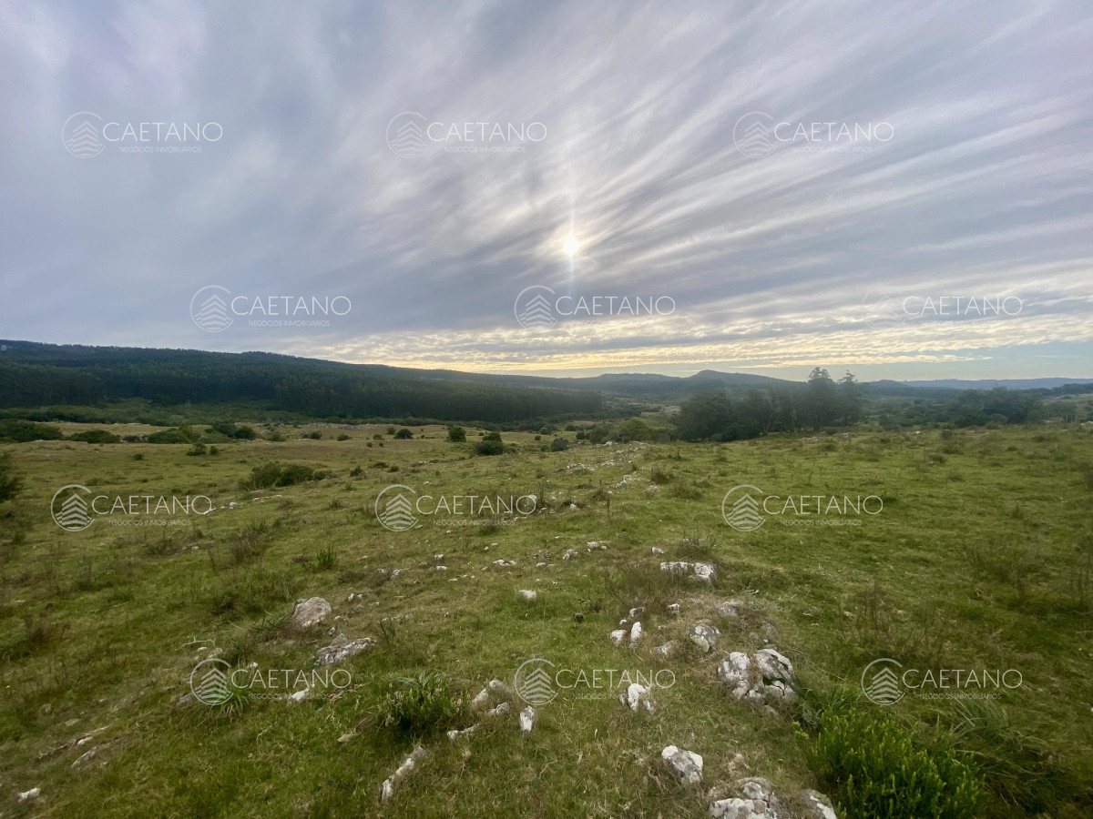 Campo en Maldonado, propiedad 273164 -Imagen 12