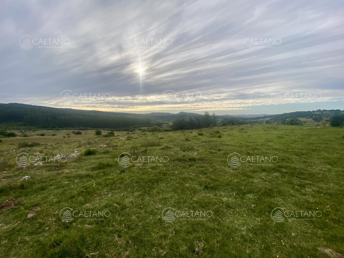 Campo en Maldonado, propiedad 273164 -Imagen 13