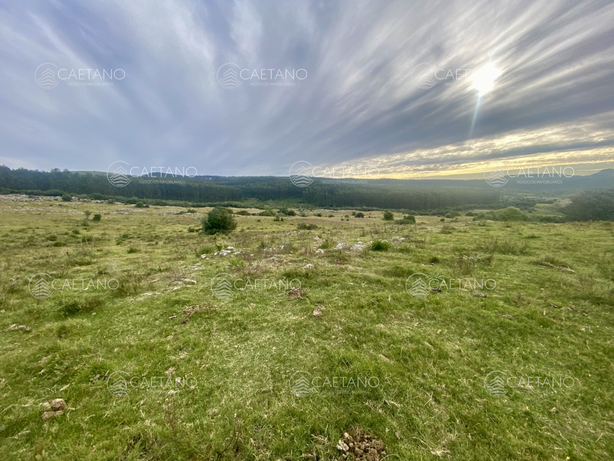 Campo en Maldonado, propiedad 273164 -Imagen 14