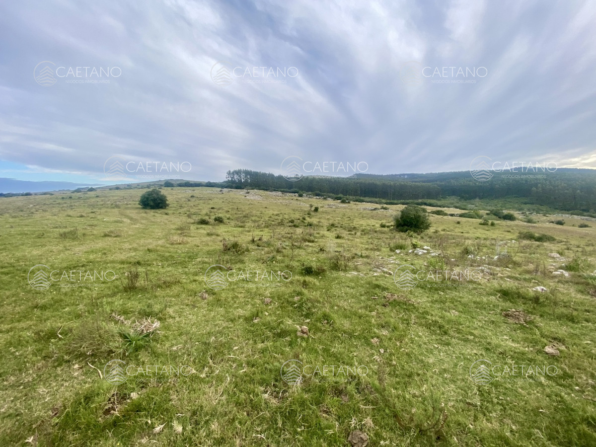 Campo en Maldonado, propiedad 273164 -Imagen 15