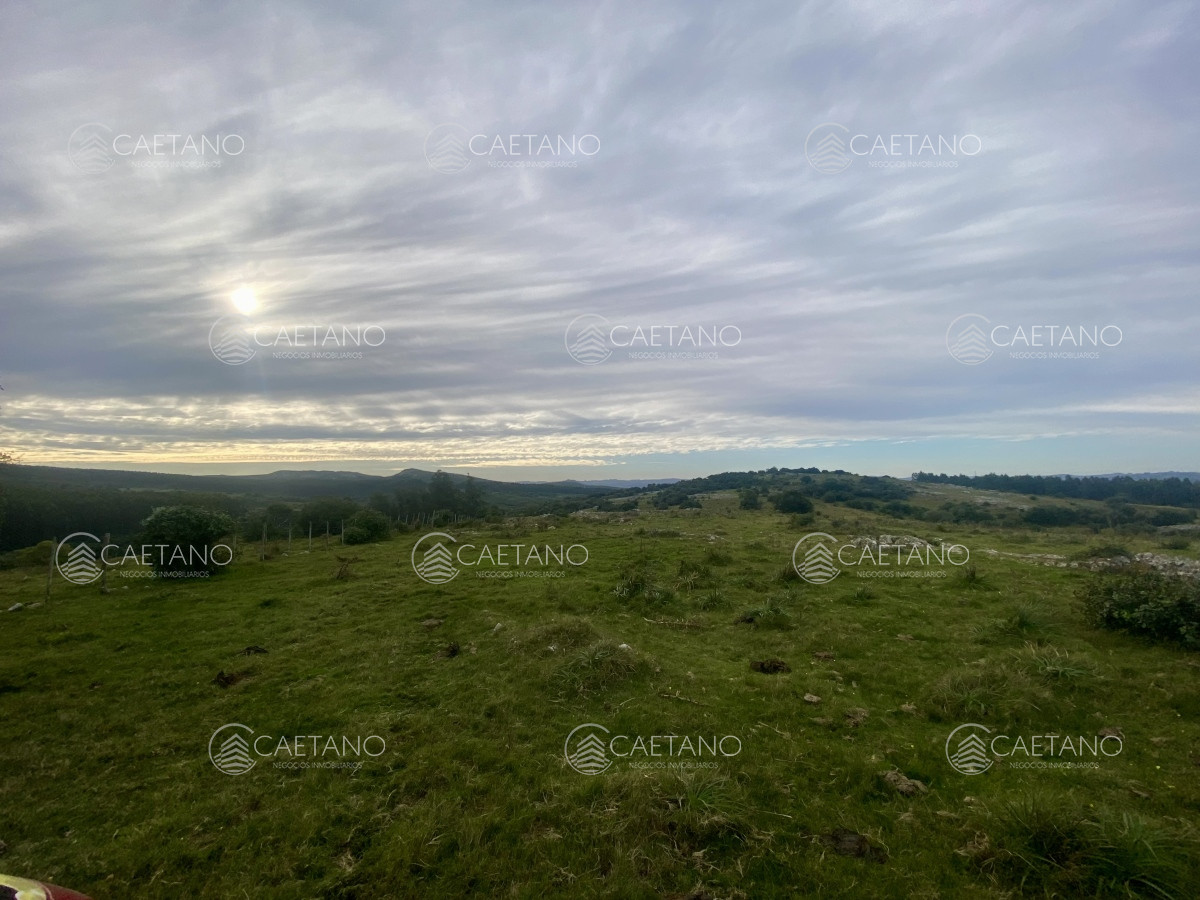 Campo en Maldonado, propiedad 273164 -Imagen 16
