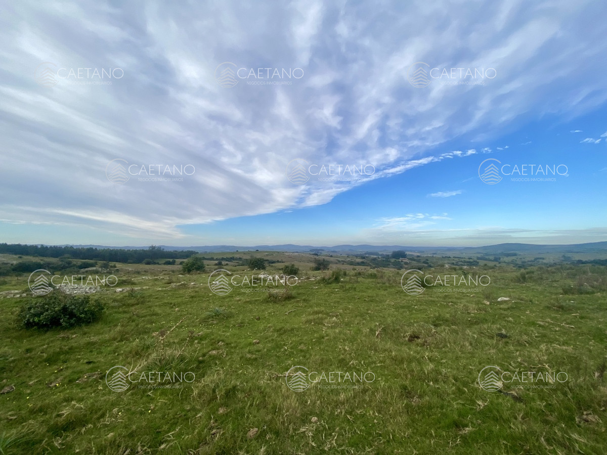 Campo en Maldonado, propiedad 273164 -Imagen 17