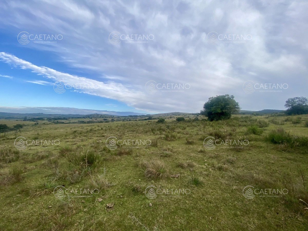 Campo en Maldonado, propiedad 273164 -Imagen 20