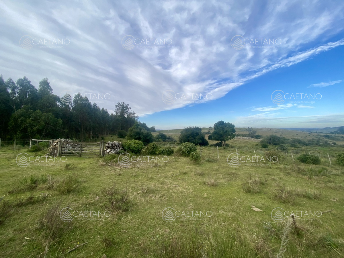 Campo en Maldonado, propiedad 273164 -Imagen 19