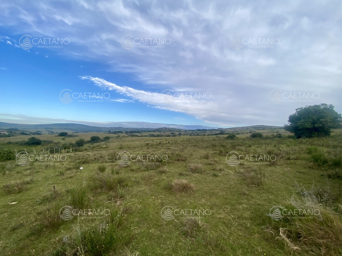 Campo en Maldonado, propiedad 273164 -Imagen 21
