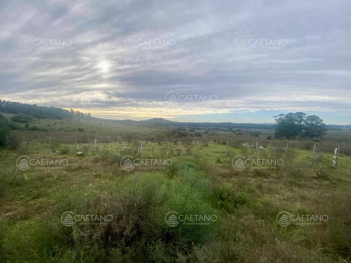 Campo en Maldonado, propiedad 273164 -Imagen 22