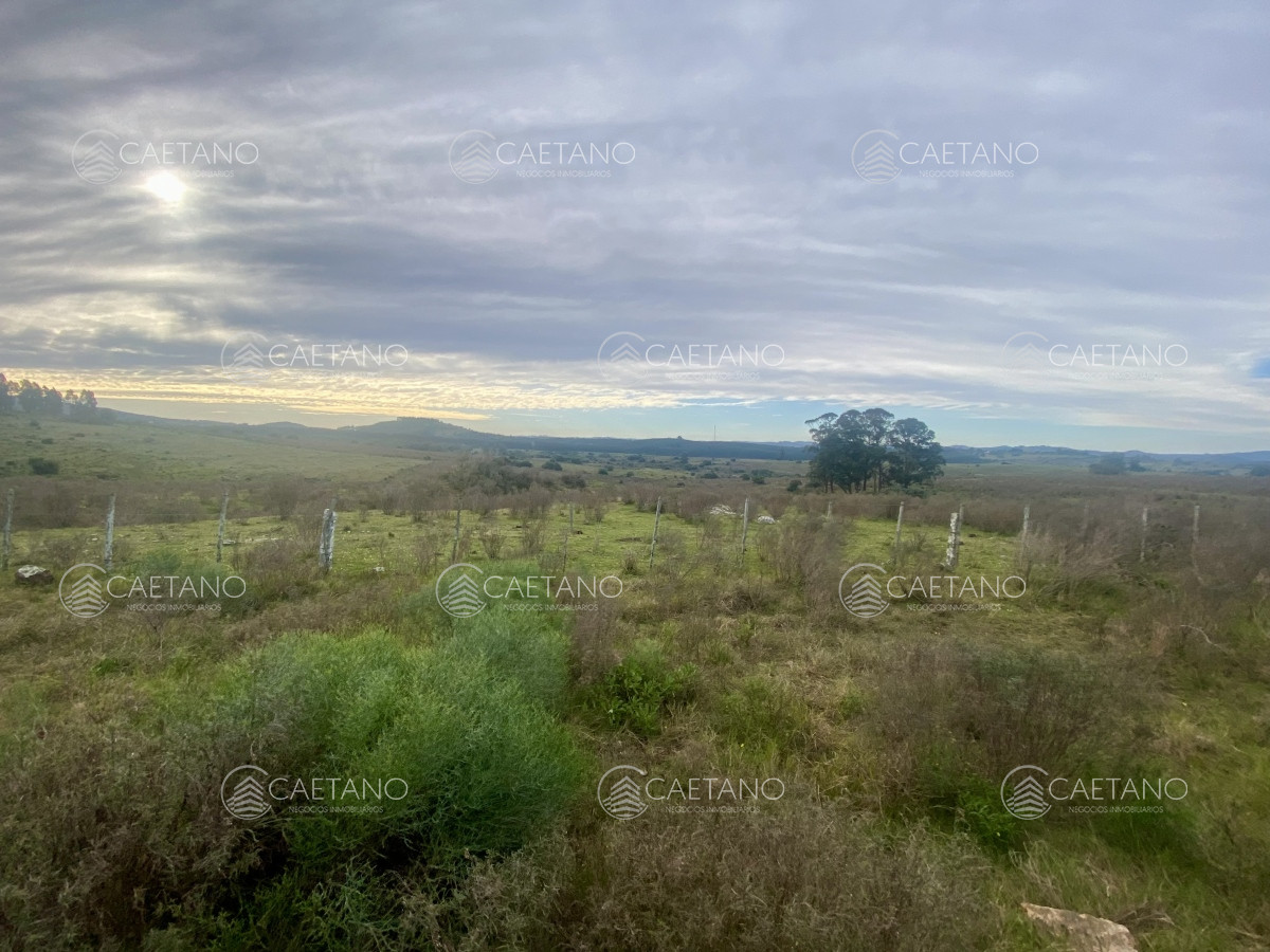 Campo en Maldonado, propiedad 273164 -Imagen 23