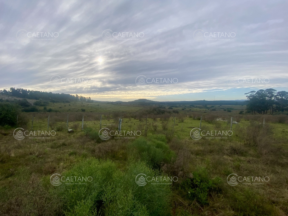 Campo en Maldonado, propiedad 273164 -Imagen 24