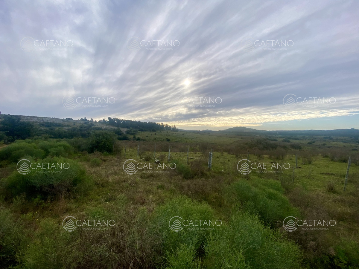 Campo en Maldonado, propiedad 273164 -Imagen 25