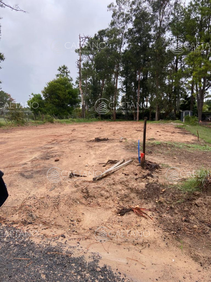 Terreno en Punta del Este, propiedad 273185 -Imagen 3