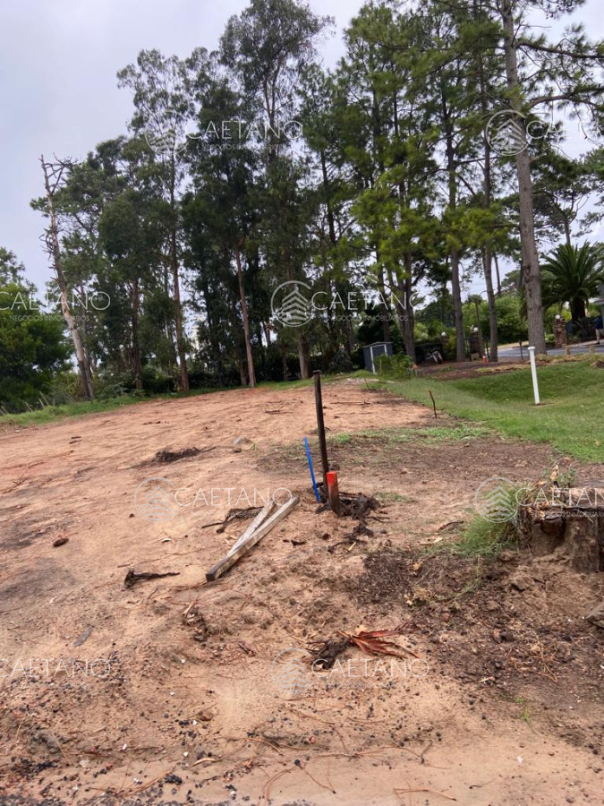 Terreno en Punta del Este, propiedad 273185 -Imagen 4