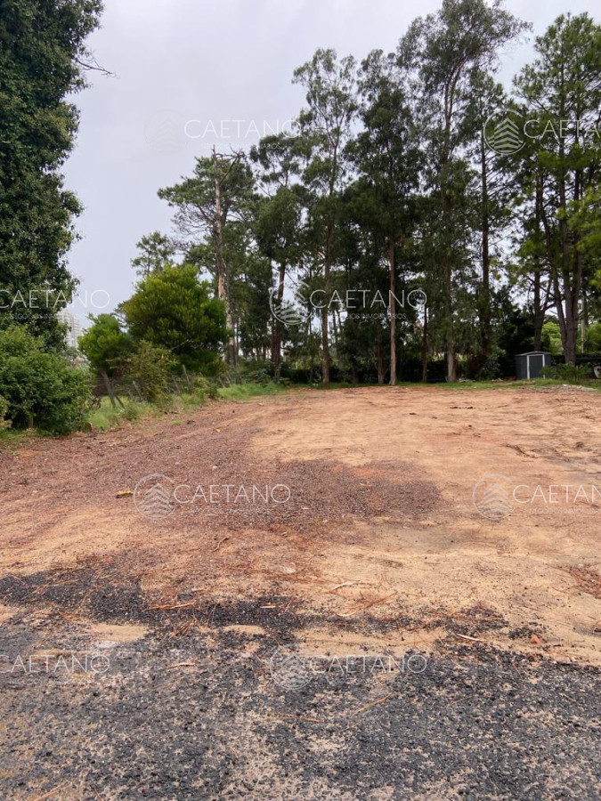 Terreno en Punta del Este, propiedad 273185 -Imagen 1