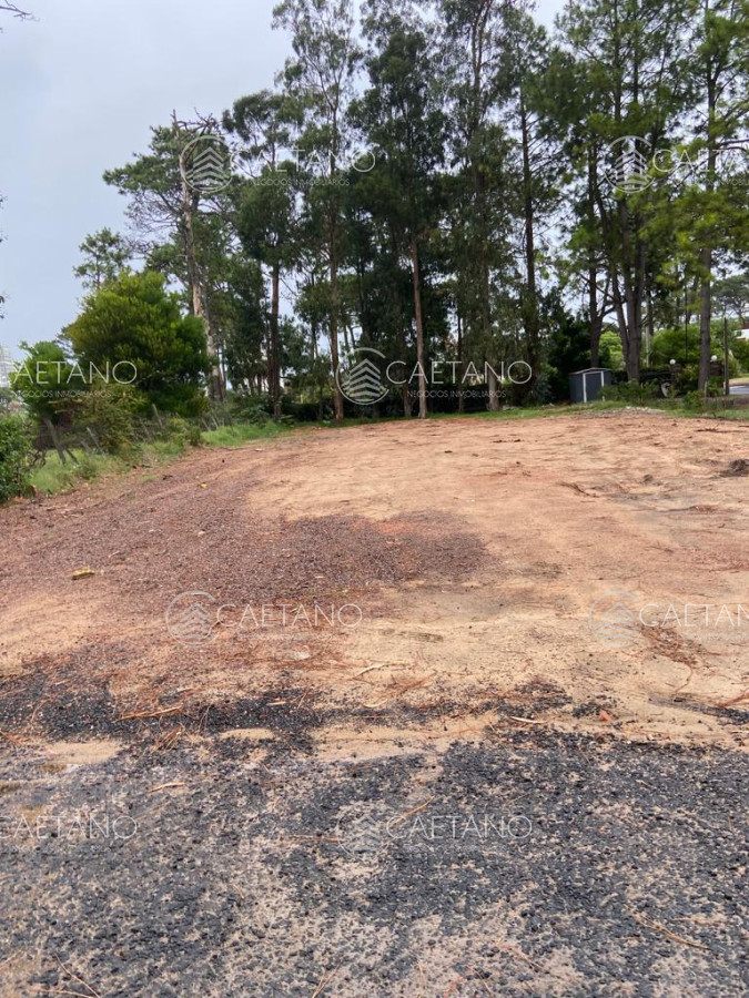 Terreno en Punta del Este, propiedad 273185 -Imagen 2