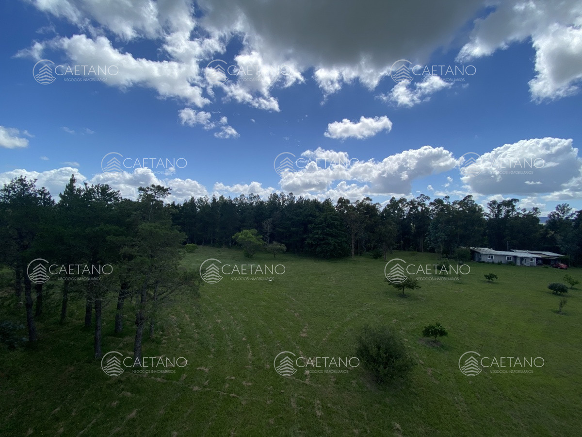 Chacra en Minas, propiedad 273710 -Imagen 5
