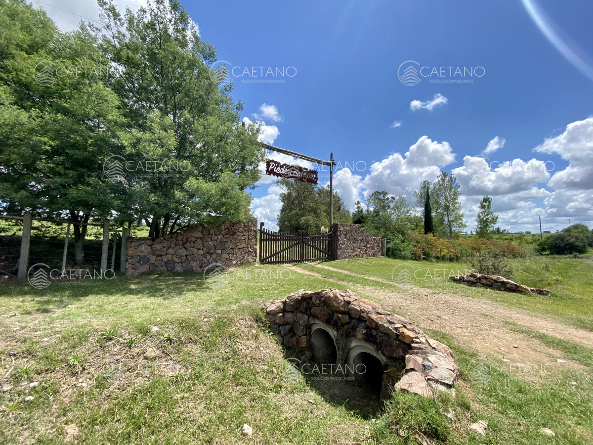 Chacra en Minas, propiedad 273710 -Imagen 9