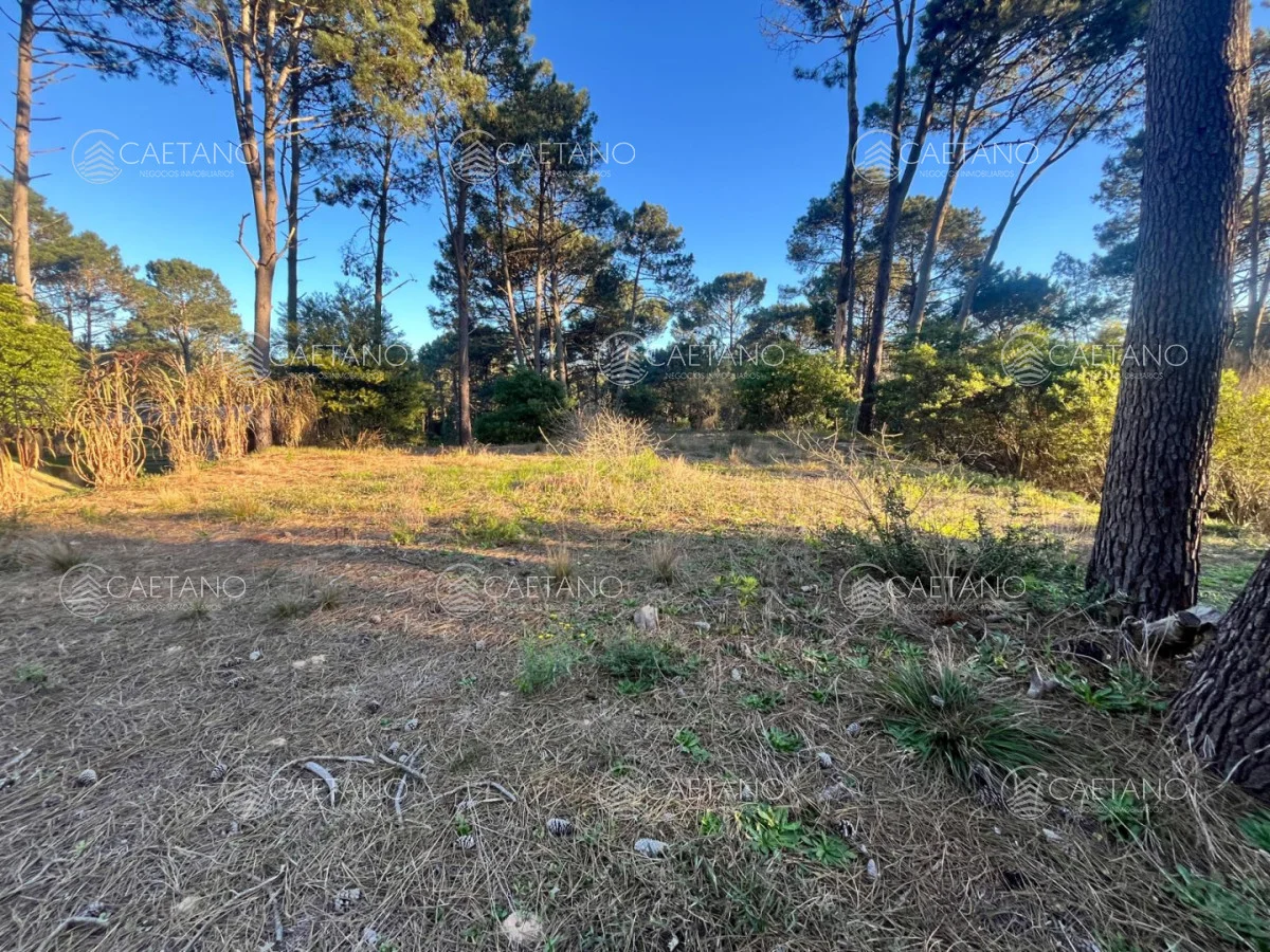 Terreno en Punta Ballena, propiedad 285422 -Imagen 2