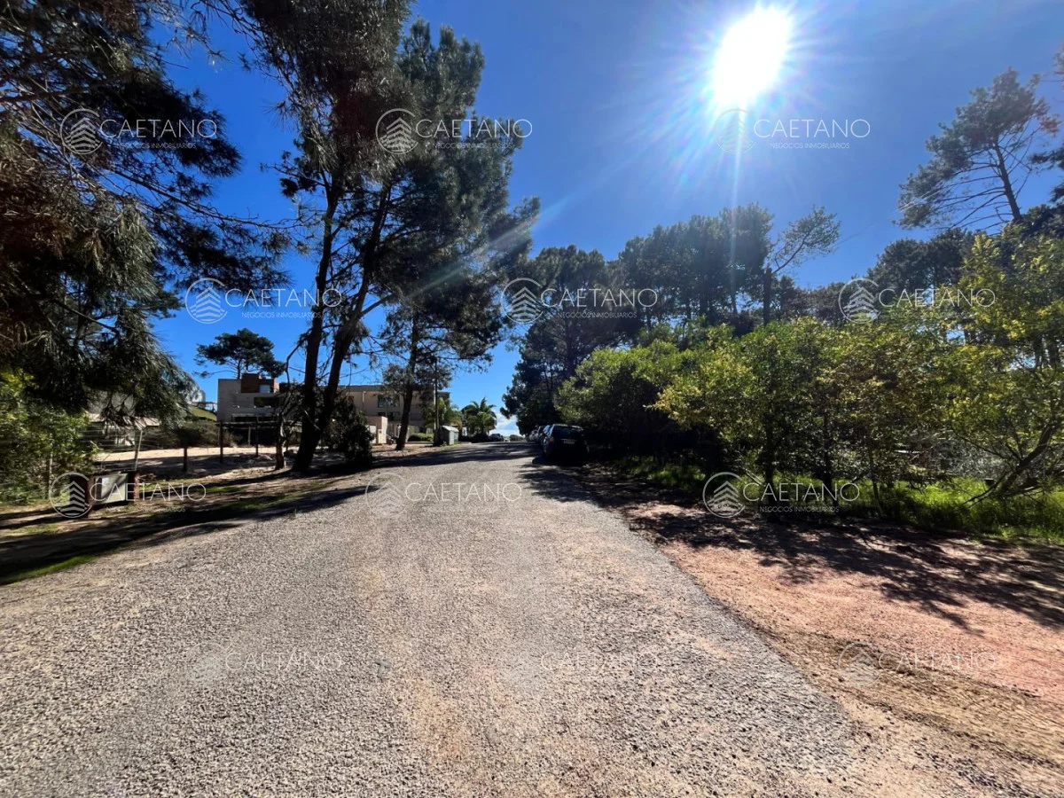 Terreno en Punta Ballena, propiedad 286637 -Imagen 2