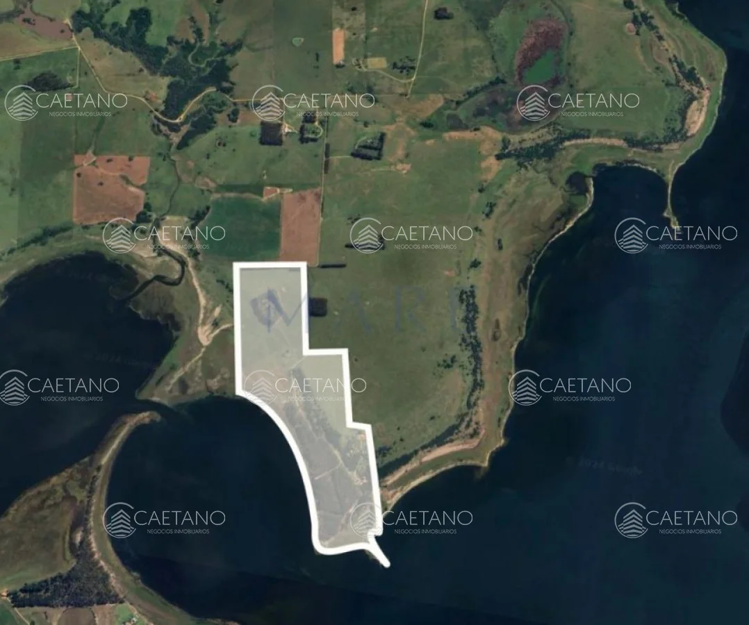 Chacra en Laguna Garzon, propiedad 295244 -Imagen 7