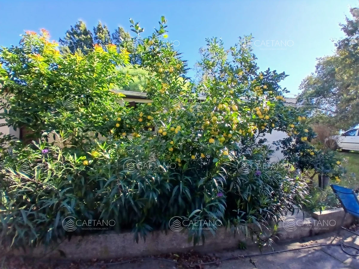 Chacra en Pueblo Eden, propiedad 295249 -Imagen 12