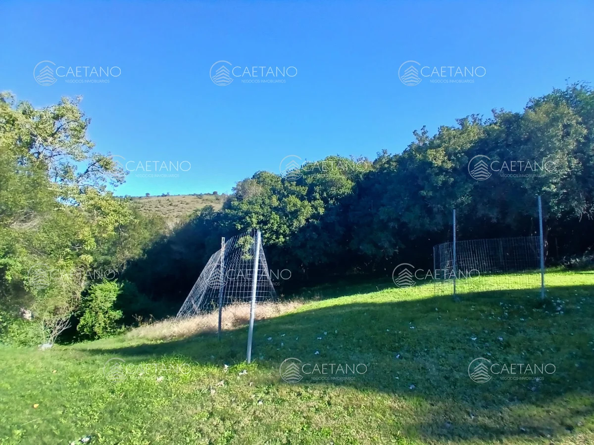 Chacra en Pueblo Eden, propiedad 295249 -Imagen 13