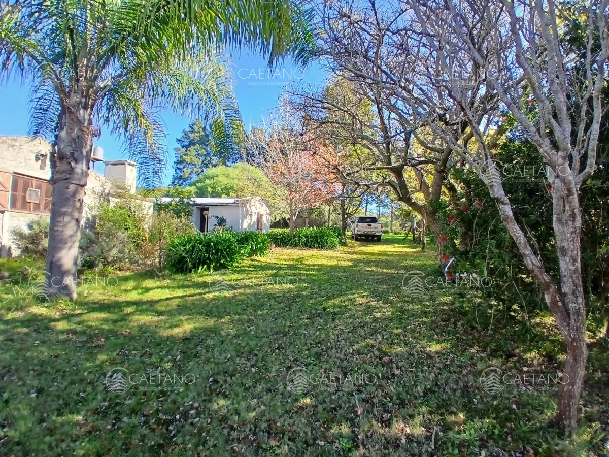 Chacra en Pueblo Eden, propiedad 295249 -Imagen 18