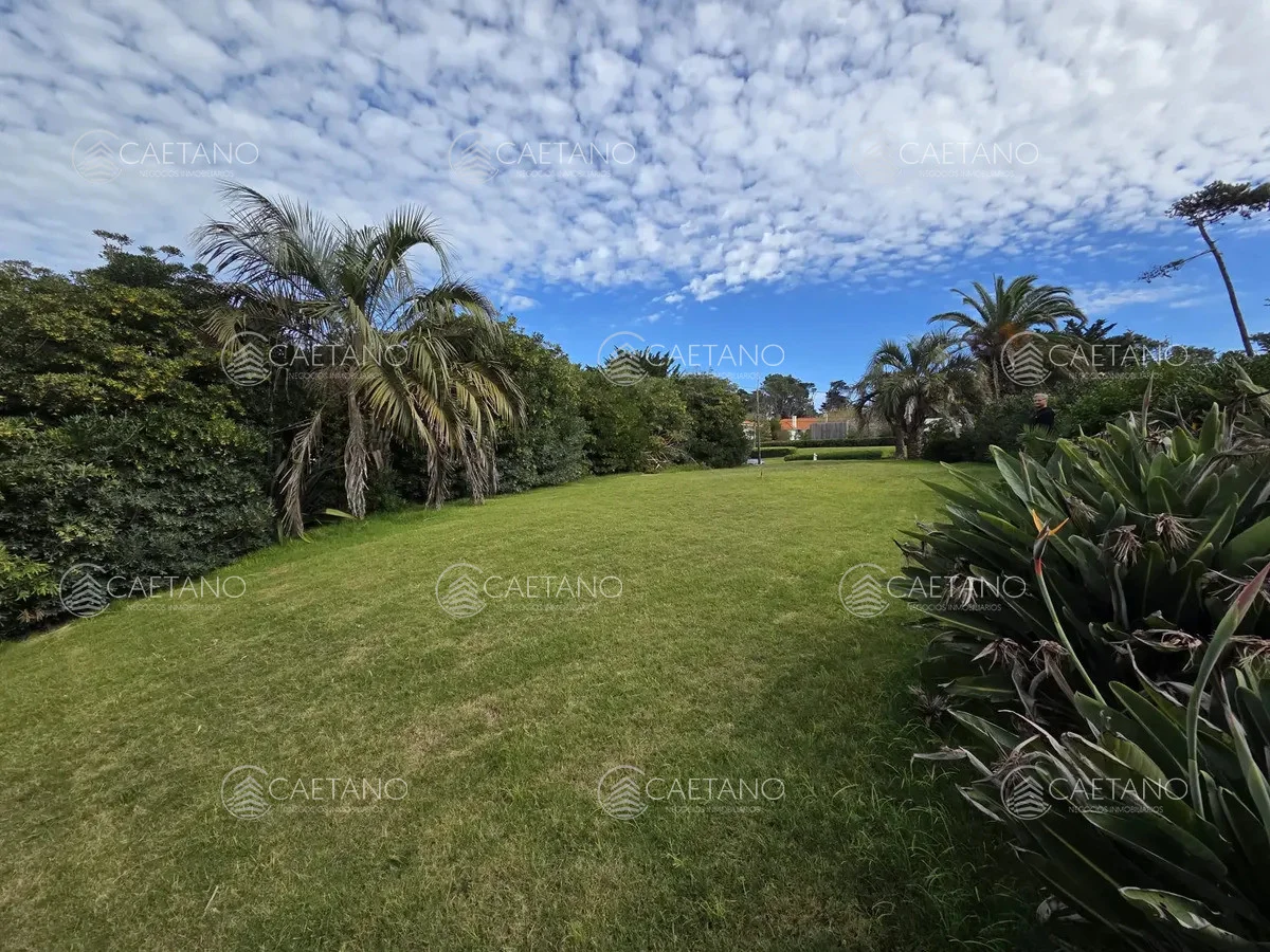Terreno en San Rafael, propiedad 295252 -Imagen 2