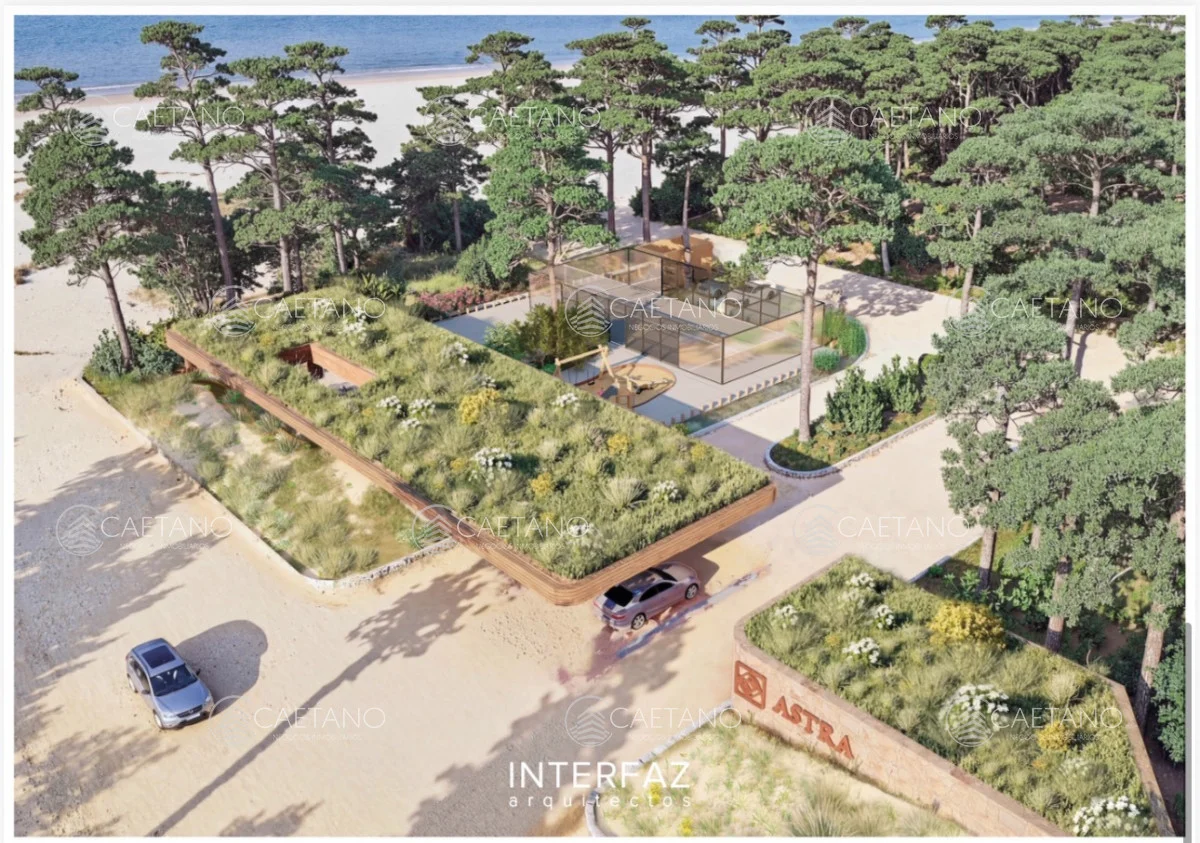 Terreno en Punta del Este, propiedad 295255 -Imagen 3