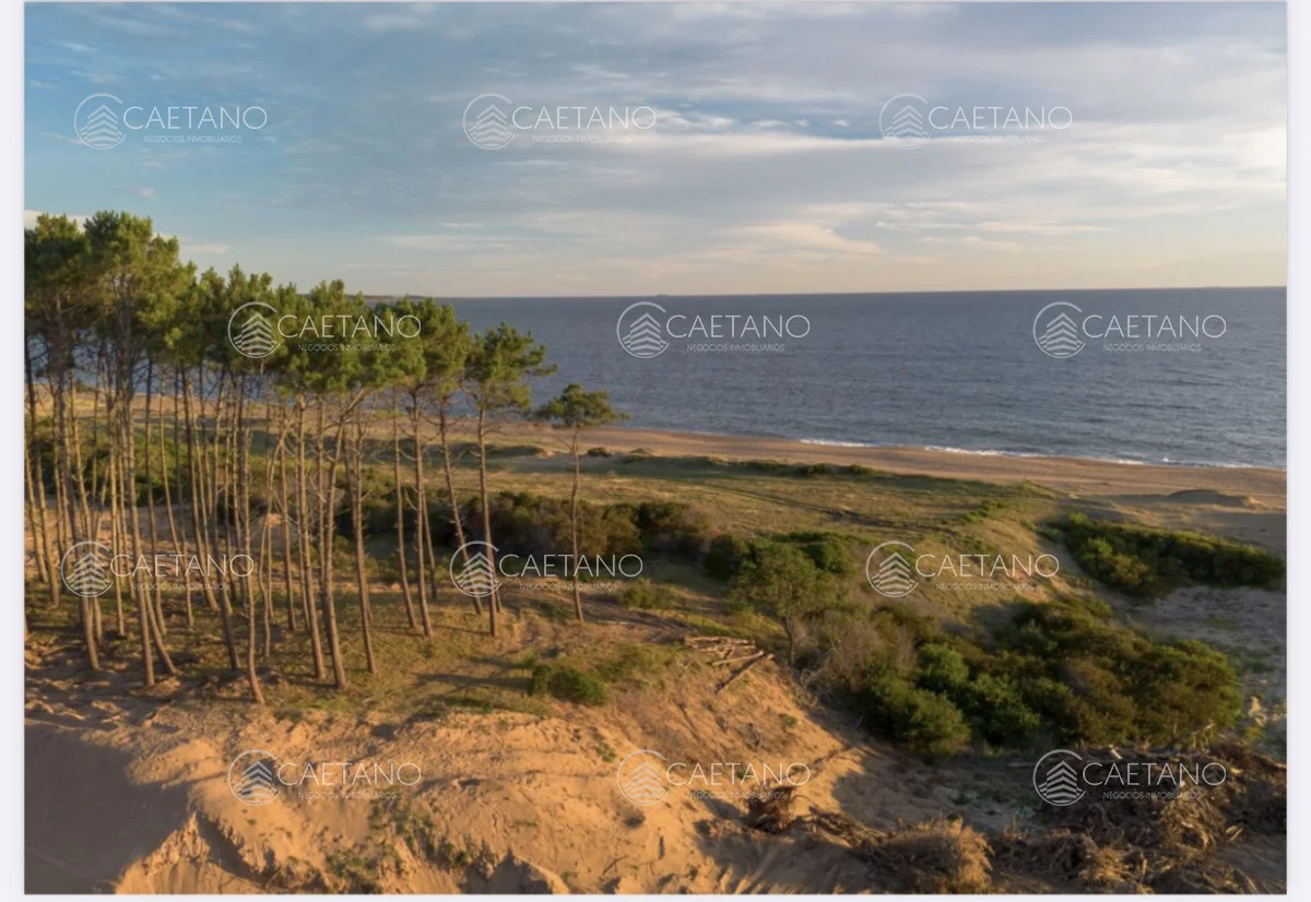 Terreno en Punta del Este, propiedad 295258 -Imagen 4