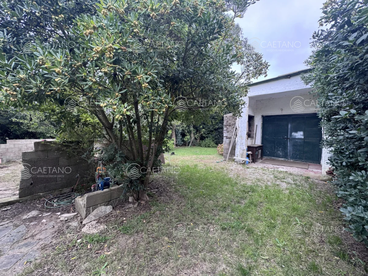 Casa en Balneario Buenos Aires, propiedad 296633 -Imagen 11