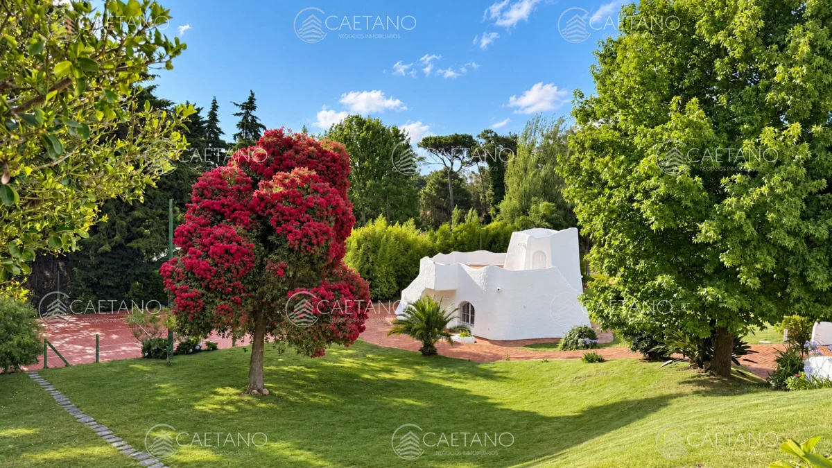 Casa en San Rafael, propiedad 297556 -Imagen 5