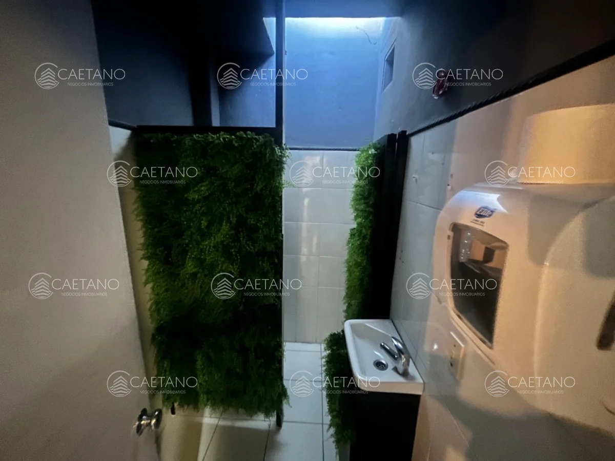 Local en Península, propiedad 303126 -Imagen 12