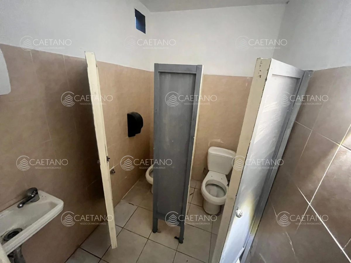 Local en Península, propiedad 303126 -Imagen 10