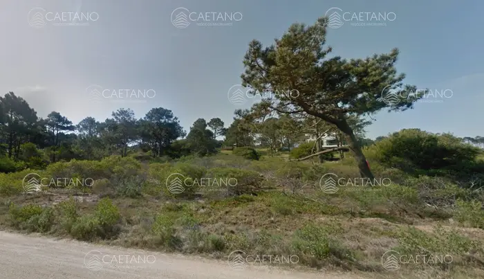imagen  de la propiedad 209031
