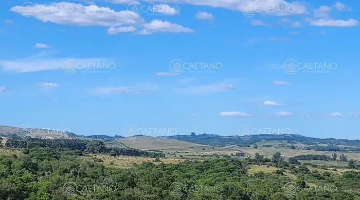 imagen  de la propiedad 212847