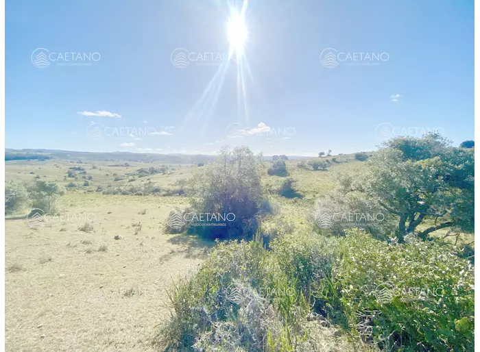 imagen  de la propiedad 214521