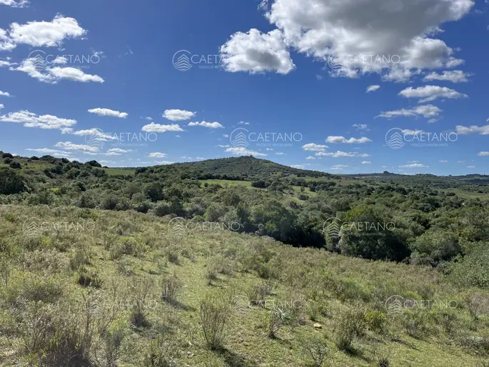 imagen  de la propiedad 216223
