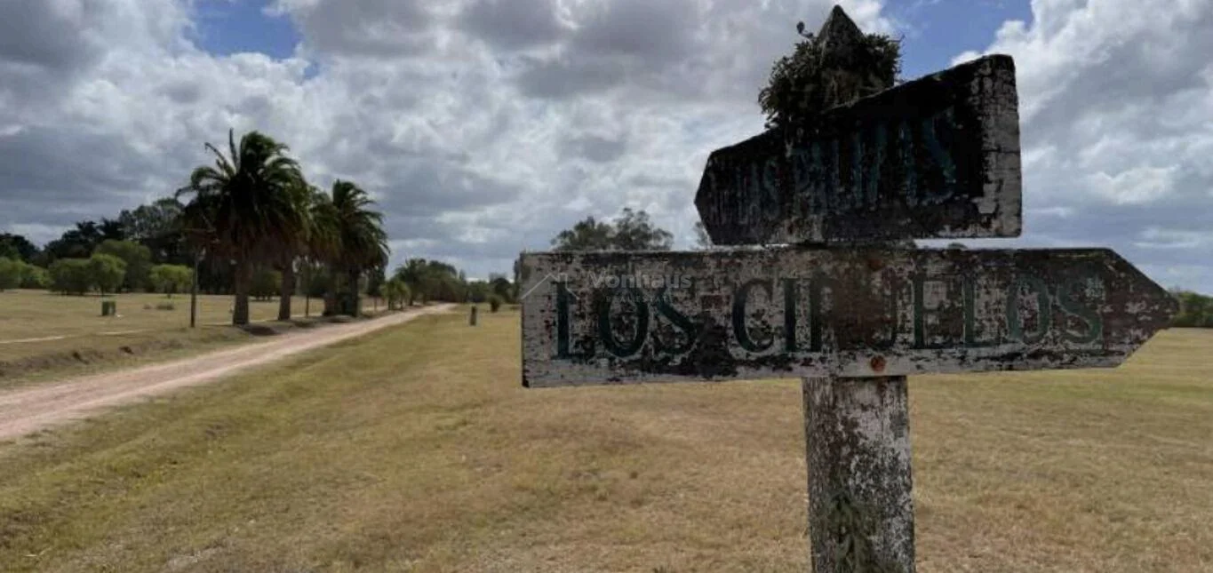Terreno en Lomas de la Tahona, propiedad 120189 -Imagen 2