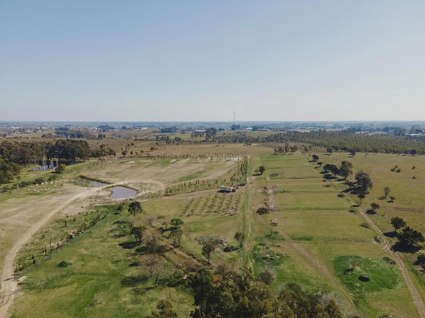 Terreno en Olivos de los Horneros, propiedad 1974 -Imagen 6