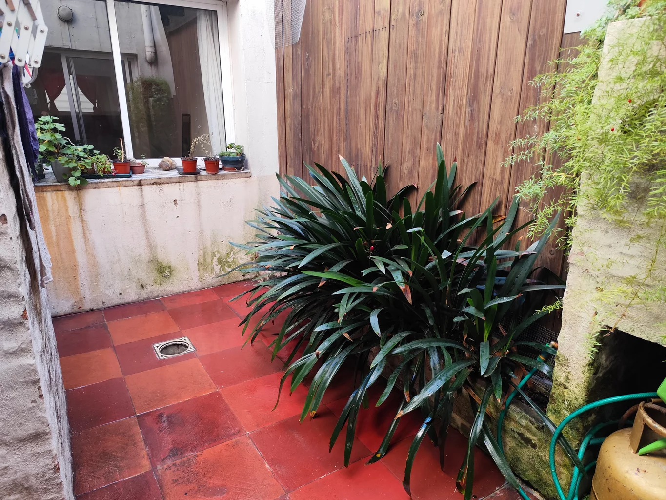 Apartamento en Parque Rodó, propiedad 273912 -Imagen 12