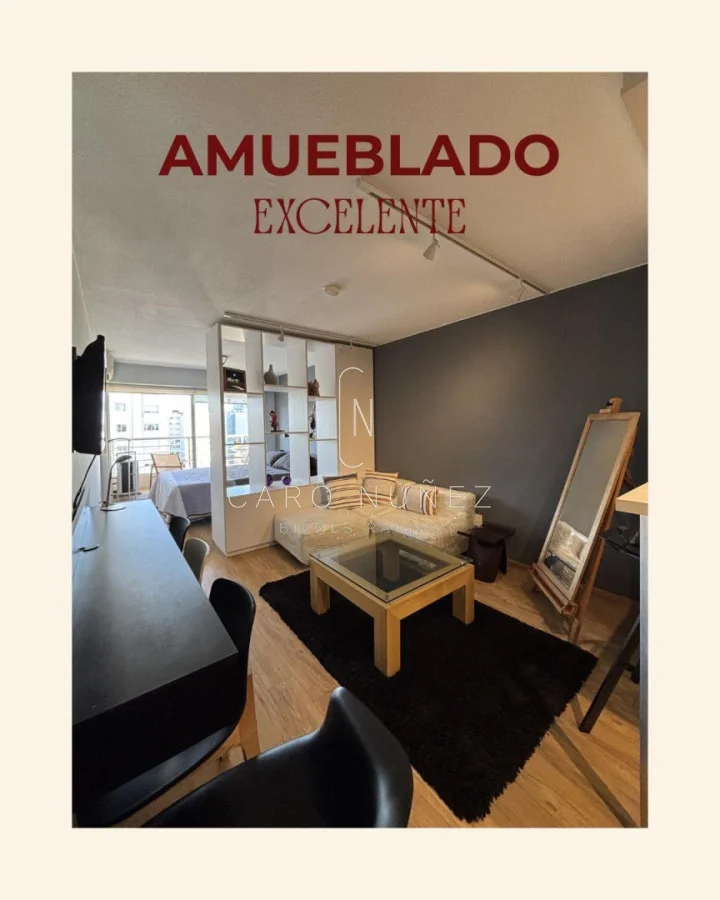 Apartamento en Villa Biarritz, propiedad 275897 -Imagen 7