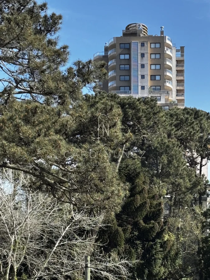 Apartamento en Roosevelt, propiedad 297388 -Imagen 12