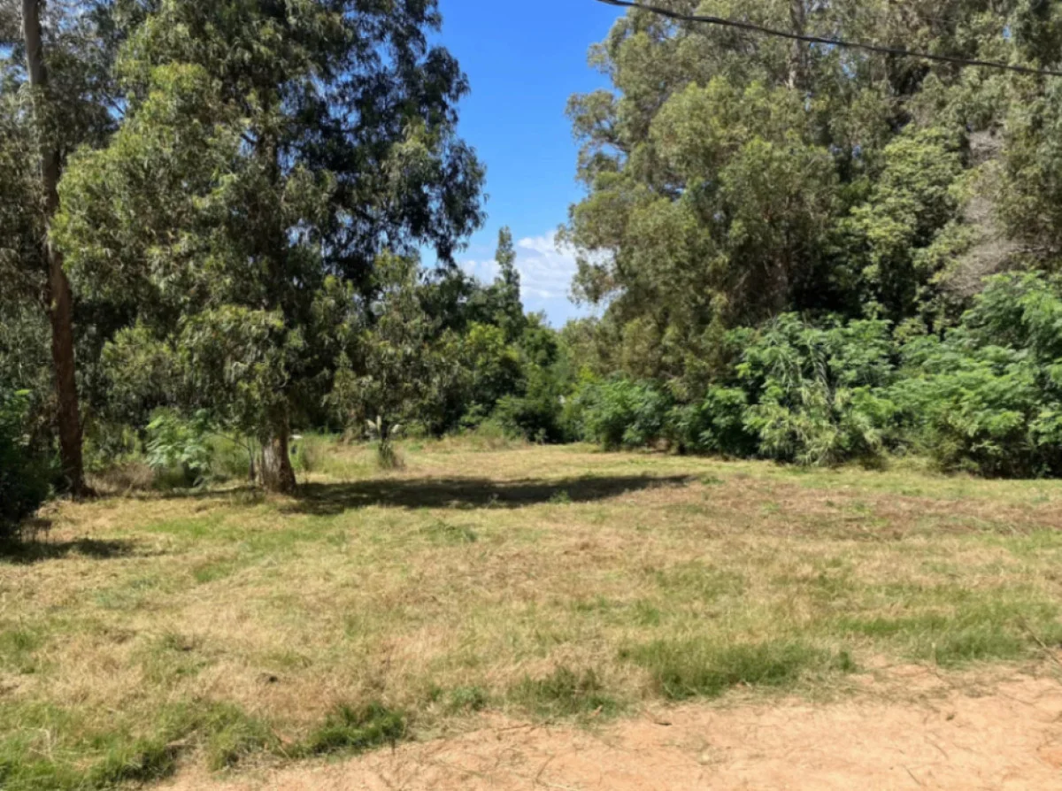 Terreno en Portezuelo, propiedad 284385 -Imagen 3