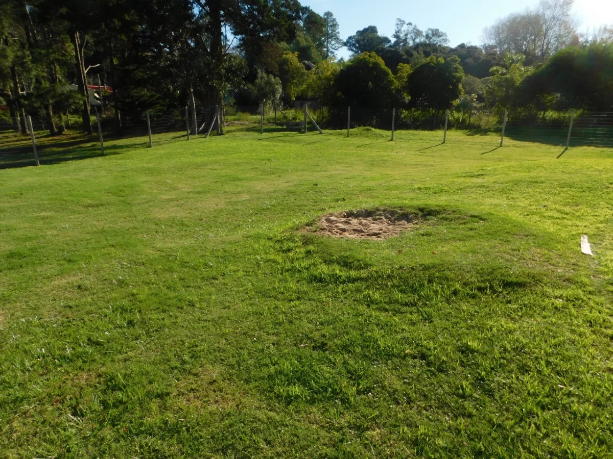 Casa en Punta Ballena, propiedad 284401 -Imagen 7