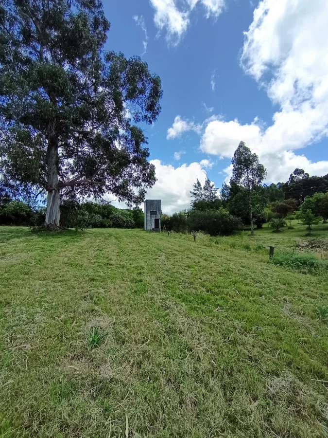 Chacra en Piriápolis, propiedad 284408 -Imagen 20
