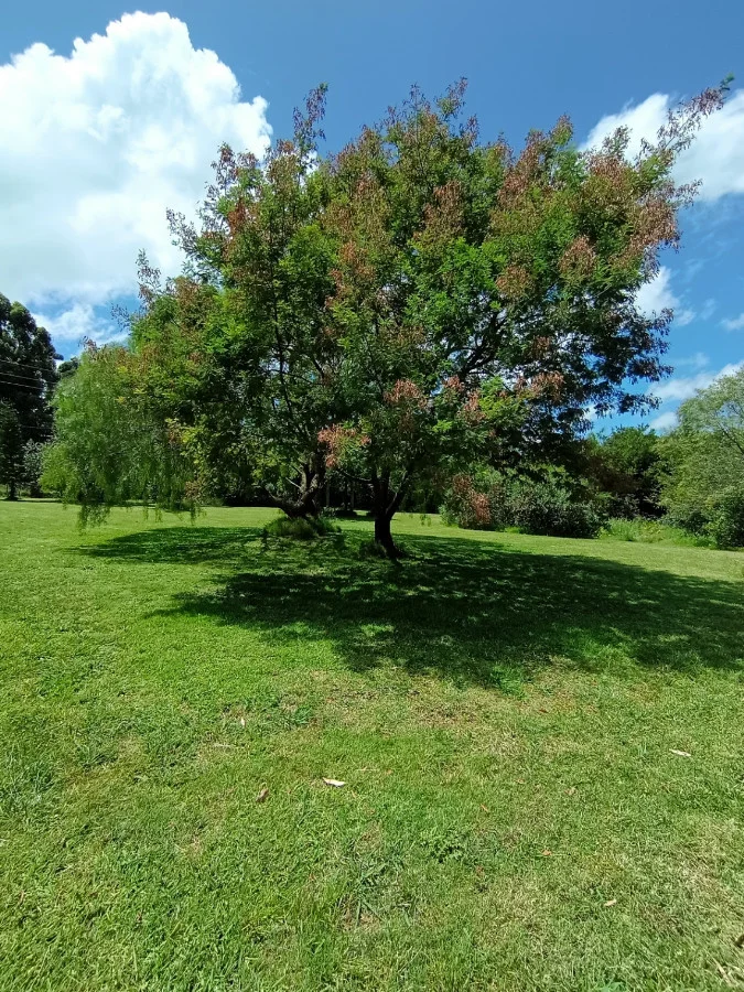 Chacra en Piriápolis, propiedad 284408 -Imagen 7