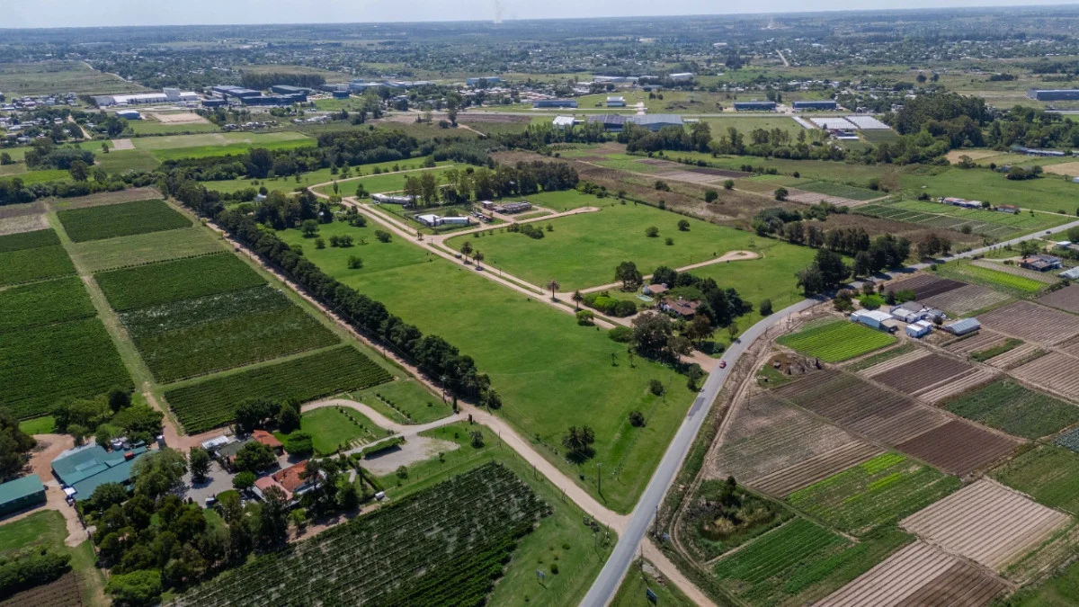 Terreno en Canelones, propiedad 284412 -Imagen 14